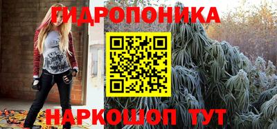 прущие грибы Бузулук