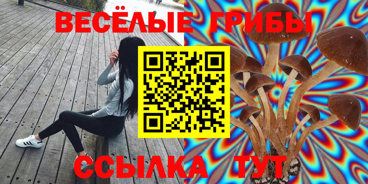 Галлюциногенные грибы Magic Shrooms  Вход с VPN  Псилоцибиновые грибы GOLDEN TEACHER  Камень-на-Оби 