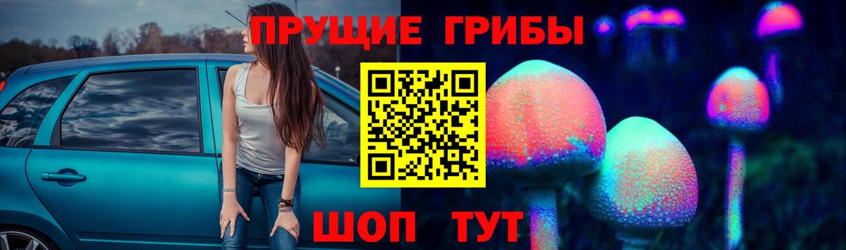 Галлюциногенные грибы ЛСД Камень-на-Оби