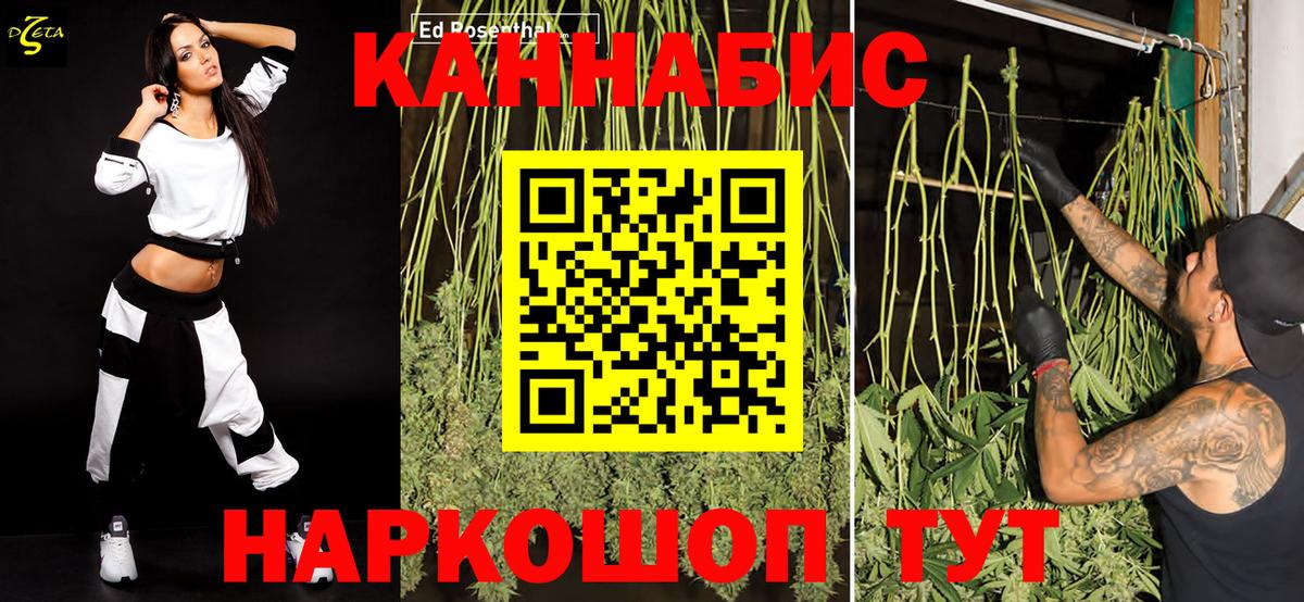 Каннабис индика Камень-на-Оби